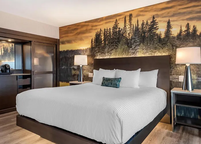 Cambria Hotel Shelby Township - Detroit Utica
